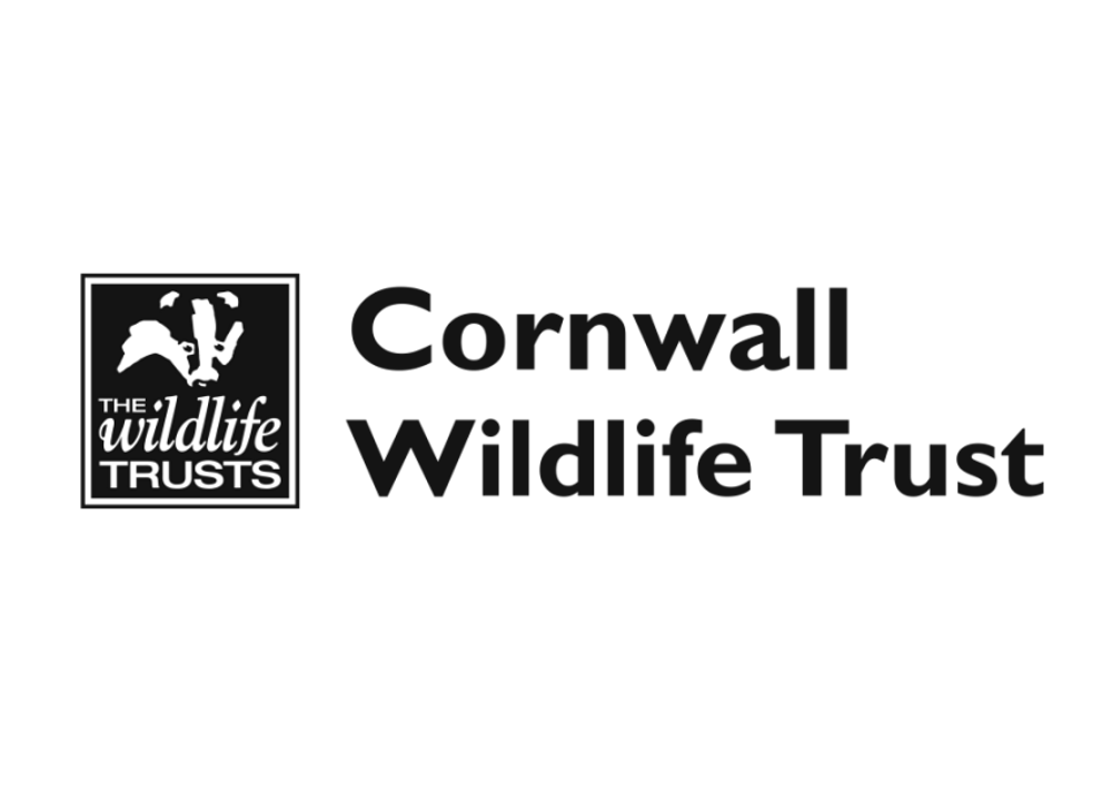 Wild Allet Wednesdays Volunteers Volunteer Cornwall CRM